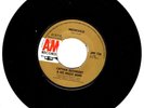 Captain Beefheart - 45 T SP Moonchild (1966)