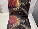 Ok Orchestra (Limited Orange Vinyl LP) - AJR + Autographed Insert Signed