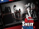 BLOOD, SWEAT & TEARS - WHAT THE HELL IS HAPPENED Black Friday 2023 BF 23 RSD