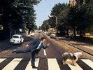 Paul McCartney - Paul Is Live (2 LP New Vinyl) SEALED  NEW  Beatles Lennon Starr