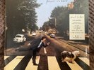 Paul McCartney - Paul Is Live - 2 LP - 180 gram - NEW, SEALED w/HYPE STICKER