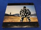 PINK FLOYD - Delicate Sound of Thunder 2 LPs Original Gatefold Vinyl VG+