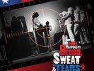 BLOOD, SWEAT & TEARS - WHAT THE HELL HAPPENED TO ... RSD FREE SHIPPING