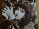 Kate Bush - Remastered In Vinyl I - 2018 Box Set - Nr. Mint