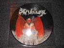 SEPULTURA SPLIT OVERDOSE BESTIAL DEVASTATION RARE PICTURE DISC 1991 NM SOULFLY