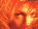 Stone Temple Pilots - Shangri-La Dee Da (Vinyl LP) [SEALED/MINT]