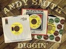 ANDY SMITH DIGGIN' IN THE BGP VAULTS Various -New & Sealed Soul Funk 2X LP Vinyl