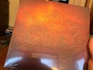 Olivia Rodrigo - Can't Catch Me Now The Hunger Games Limited Etched 7” Vinyl