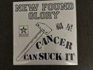 NEW FOUND GLORY Make The Most Of It GREEN Vinyl  SEALED Cancer Can Suck It RARE