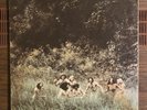 The Ballad of Evergreen Blueshoes RARE 1969 Psychedelic / Hippie Vinyl Record LP
