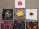 The Cult  7   7