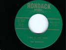 INSTR. GARAGE ROCKER- THE FUGITIVES- 