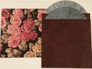 Mark Lanegan Band 