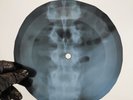 LED ZEPPELIN BABY HEY HEY WHAT  X-Ray USSR Record Roentgen Bone Rib Music Vinyl
