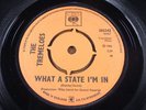TREMELOES   What A State I'm In   MINT   CBS 202242   Psych Beat Dancer / Beat P