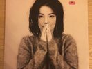 Bjork - Debut  - One Little Indian 1st UK Press - TPLP31 - EX condition 1993