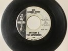 Anthony & Sophmores DOO WOP GARAGE 45 One Summer Night/Work Out JAMIE DJ VG HEAR