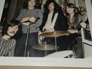 Led Zeppelin Texas International Pop Festival 2LP Gatefold