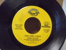S*LYNYRD SKYNYRD SWEET HOME ALABAMA/TAKE YOUR TIME 45 SONGS OF THE SOUTH RECORDS