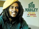 Bob Marley The King of Jamaica (Vinyl) 12