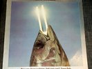 REO SPEEDWAGON You Can Tune a piano LP Album Vinyl 1978 Epic Records CBS JE35082