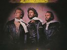 BEE GEES CHILDREN OF THE WORLD [TRANSLUCENT YELLOW LP] NEW LP