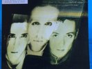 The Wild Swans BRINGING HOME THE ASHES  1988 Sire 1-25697 PROMO EX / EX / VG