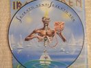Vinyl Iron Maiden Seventh Son of a Seventh Son Picture LP rar Heavy Metal Rock