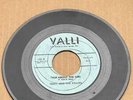 Terry And The Pirates - What Did He Say/Talk About The Girl * Valli Surf 45 Hear