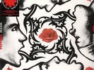 Red Hot Chili Peppers Blood Sugar Sex Magik audiophile 180gm vinyl 2 LP NEW/SEAL