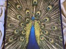 The Bluetones Expecting To Fly BLUELP 004  1996 1st P 12” VGC ++RARE BRITPOP