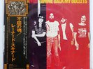 LYNYRD SKYNYRD GIMME BACK MY BULLETS MCA MCA6092 JAPAN OBI VINYL LP