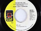 Modern Soul 45 - Raw Soul Express - The Way We Live - Cat - VG+