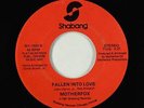 Modern Soul Boogie 45 - Motherfox - Fallen Into Love - Shabang - VG+