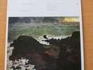 FLEET FOXES - CRACK-UP, schweres VINYL 2LP, Tolles Cover, Folkrock, gebraucht