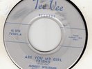 MORRY WILLIAMS AND KIDS - ARE YOU MY GIRL FRIENDS ORIG TEE VEE 45- Doo Wop /VG
