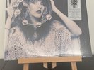 STEVIE NICKS BELLA DONNA LIVE 1981 RSD 2023 EXCLUSIVE VINYL 2X LP (NEW IN HAND)