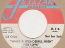 Bobby Patterson What A Wonderful Night For Love  Jetstar Demo JS-116 Soul Northe