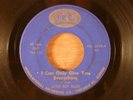 Little Boy Blues  I Can Only Give You Everything/You Don't Love Me.. RARE Garage