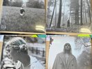 Taylor Swift Full Set Folklore Vinyl Record Variants MINT