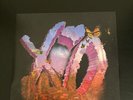 The Weeknd & Juice Wrld - Smile (Limited Edition 7” Single) Orange Pressing