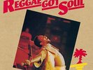 TOOTS & THE MAYTALS – REGGAE GOT SOUL 180G VINYL LP (NEW/SEALED) M.O.V.