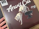 ANVIL CAT From Studio 4 LOVEJOY RSD BLACK FRIDAY IN HAND