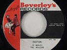 Wailers 