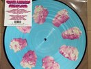 Glass Animals ‎– Dreamland Exclusive RARE Zoetrope Picture Disc Vinyl LP