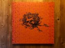 Greatful Dead - The Warner Bros. Studio Albums Vinyl Box Set Exclusive Edition