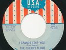 Psych Rock 45 - CHERRY SLUSH - I Cannot Stop You / Don’t Walk - USA  Garage 60s