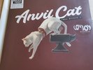 Anvil Cat From Studio 4 Black Friday 2023 White Vinyl Record Store Day