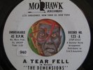 HEAR Demensions 45 A Tear Fell / Theresa MOWHAWK doo wop R&B EX promo