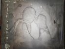 Kate Bush: 50 Words for Snow (2018 Remaster)(2LP/WHITE)  LP vinyl *SEALED*